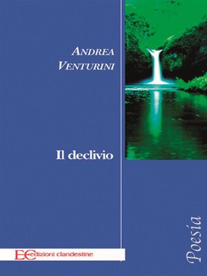 cover image of Il declivio